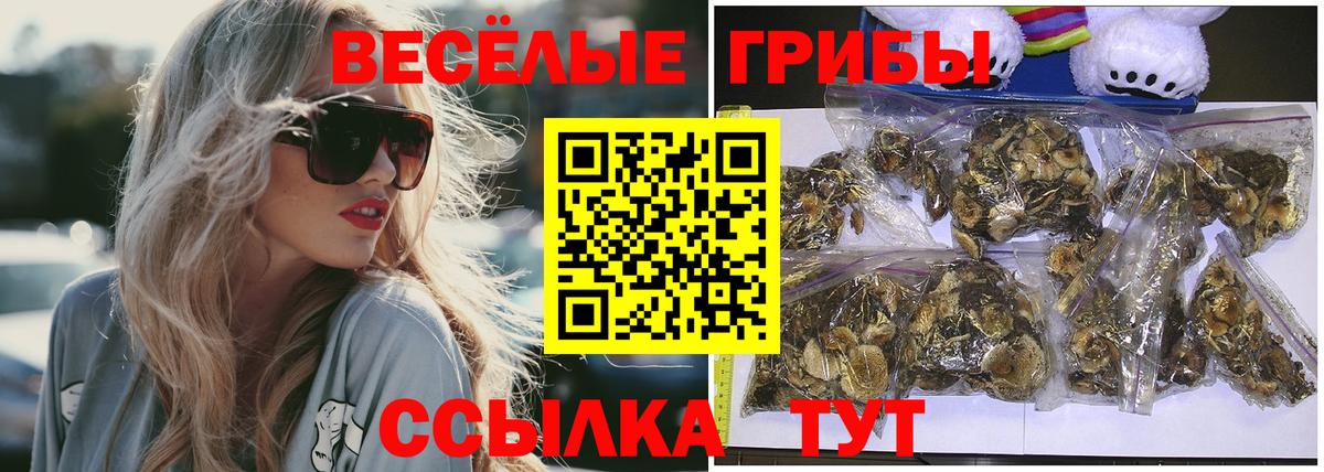 Псилоцибиновые грибы Psilocybine cubensis  Вход с VPN  Мелеуз 