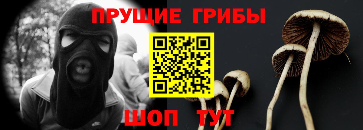 Псилоцибиновые грибы мухоморы Мелеуз