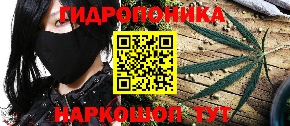 Бошки Шишки конопля Мелеуз
